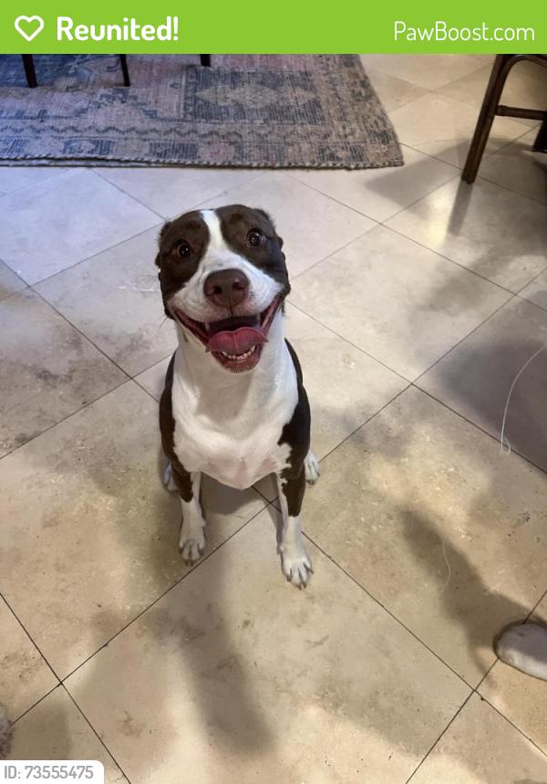 Reunited Female Dog last seen St. Dominic’s, New Orleans, LA 70124