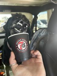 Reunited Female Dog last seen Red oak drive, Cleburne, TX 76031