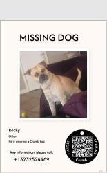 Lost Male Dog last seen Atlantic Blvd, and Imperial Hwy, Lynwood, CA 90262