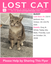 Reunited Male Cat last seen Near E Jackson Ave, Vinton, VA 24179, USA, Vinton, VA 24179