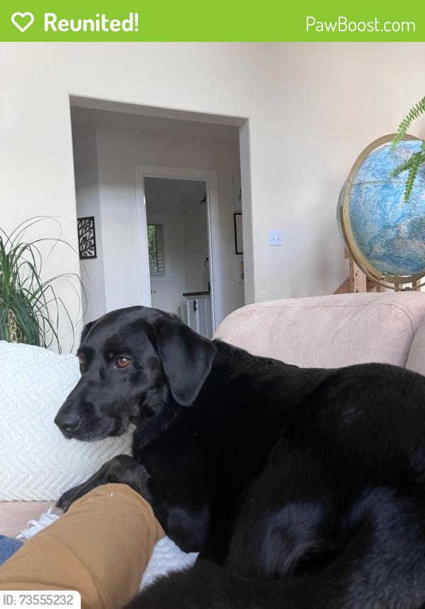 Reunited Unknown Dog last seen Purdy spit, Goodrich Dr NW,  98322