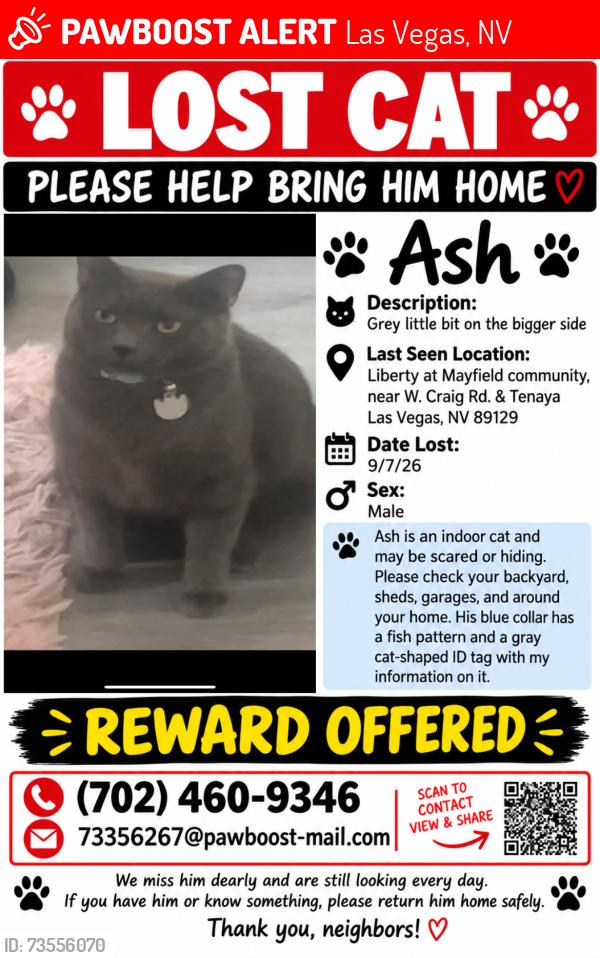 Lost Male Cat last seen W Craig Rd & tenaya/ Alexander area, Las Vegas, NV 89129