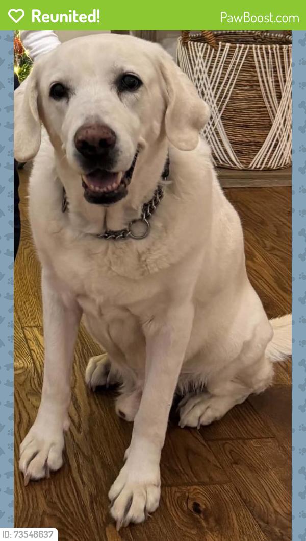 Reunited Male Dog last seen Heatherton Rd, Dacula, GA 30019