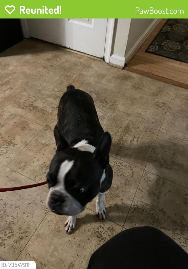 Reunited Male Dog last seen Meadowridge ln, Mitchellville, MD 20774