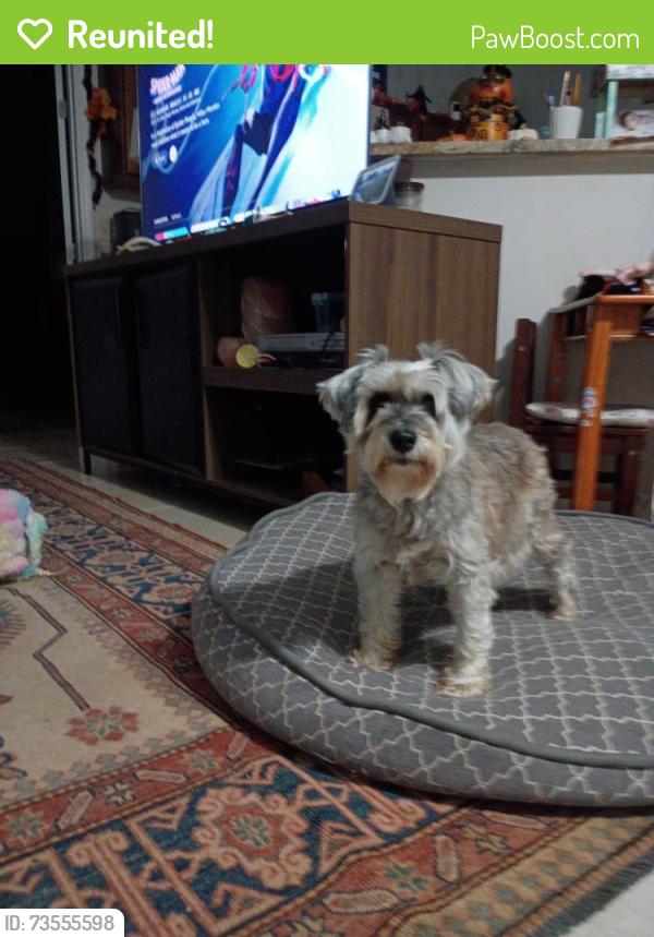 Reunited Female Dog last seen Deland and Shannon, Fort Pierce, FL 34951