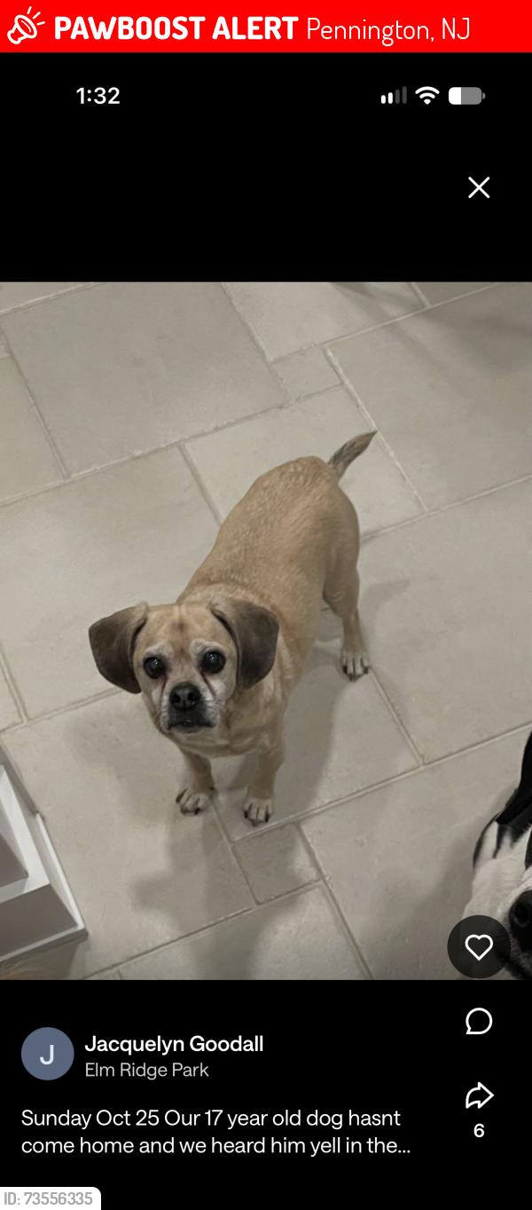 Lost Male Dog last seen Arvida and west shore drive, Pennington, nj 08534, Pennington, NJ 08534
