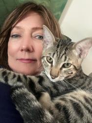 Lost Male Cat last seen 7th street and Thunderbird, Phoenix, AZ 85022