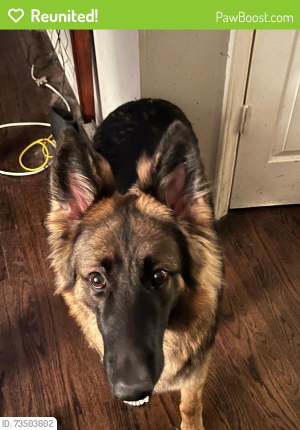 Reunited Female Dog last seen 78th Street & I-70, bp gas station, Kansas City, KS 66112