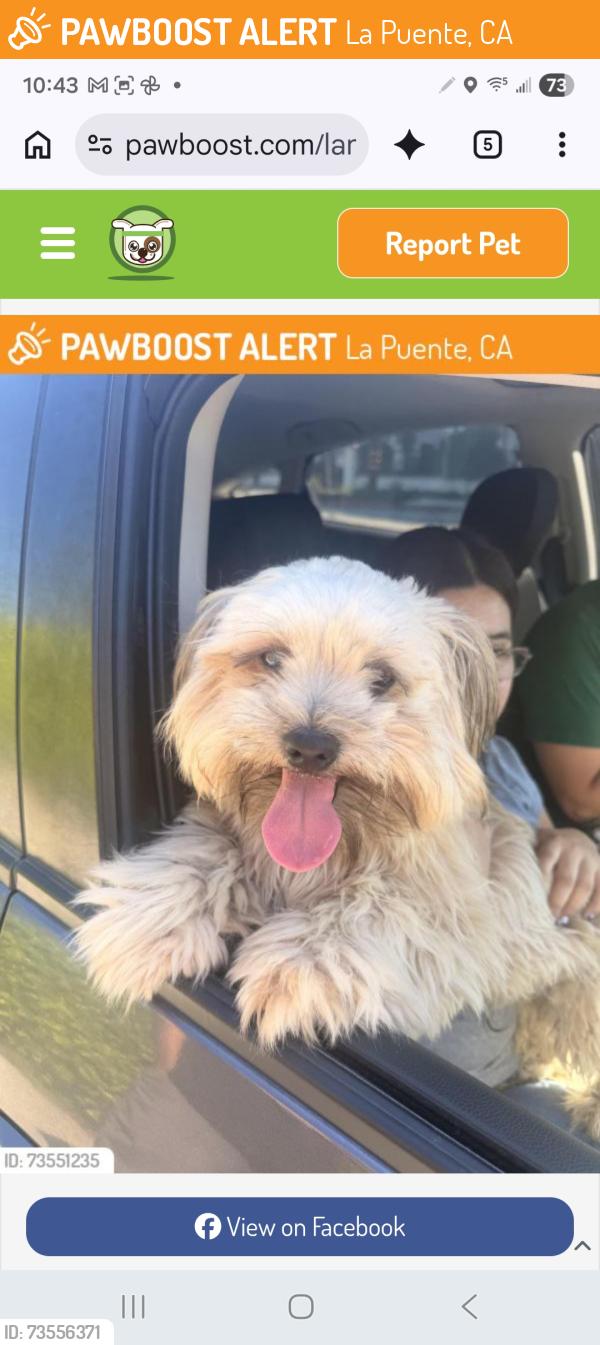 Found/Stray Male Dog last seen N. Unruh and Hacienda, La Puente, CA 91744