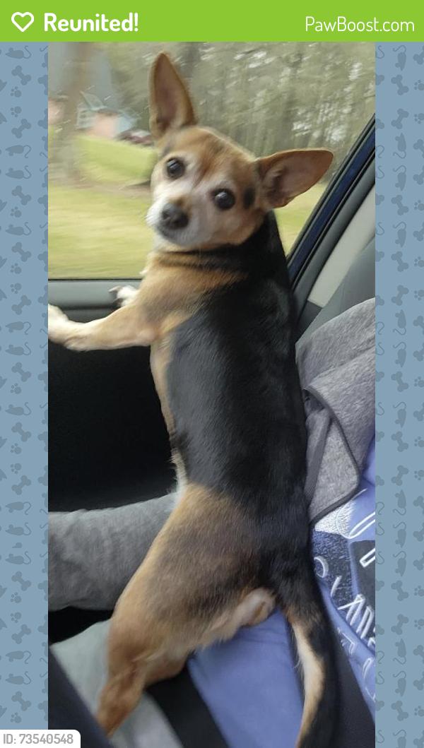 Reunited Female Dog last seen Kingwood Oakhurst on Kenswick Park Dr., Porter, TX 77365