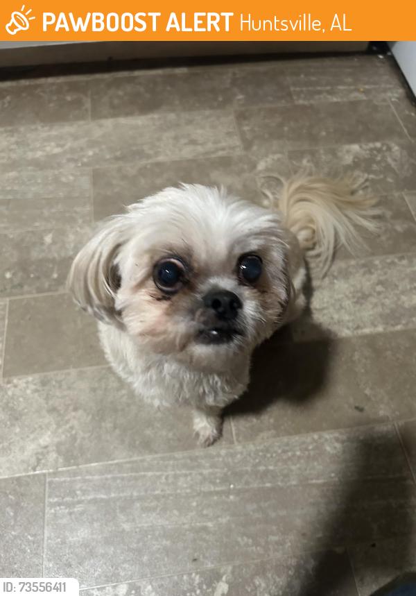 Found/Stray Male Dog last seen Harold’s drive and marsh avenue, Huntsville, AL 35806