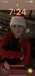 Lost Male Cat last seen Back end of the apmt complex where a brown chain fence is, Akron, OH 44306