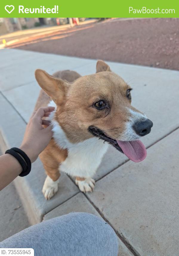 Reunited Male Dog last seen 107th ave Van Buren, N 107th Ave,  85329