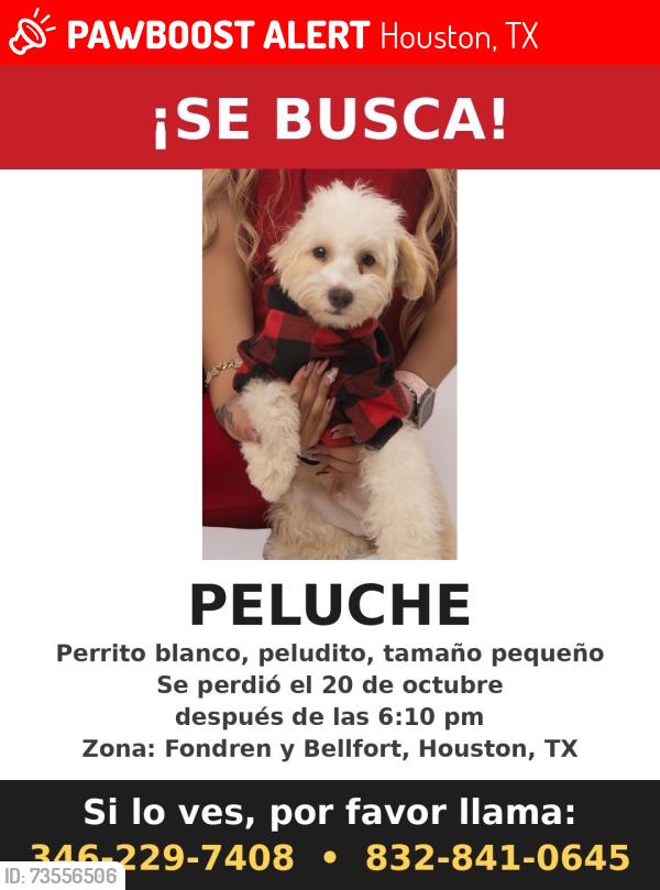 Lost Male Dog last seen Fondren & bellfort, Houston, TX 77035