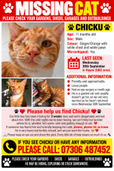 Lost Male Cat last seen Hayes, Greater London, England UB3