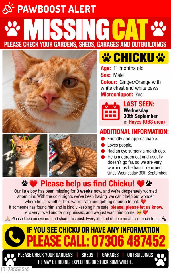 Lost Male Cat last seen Hayes, Greater London, England UB3