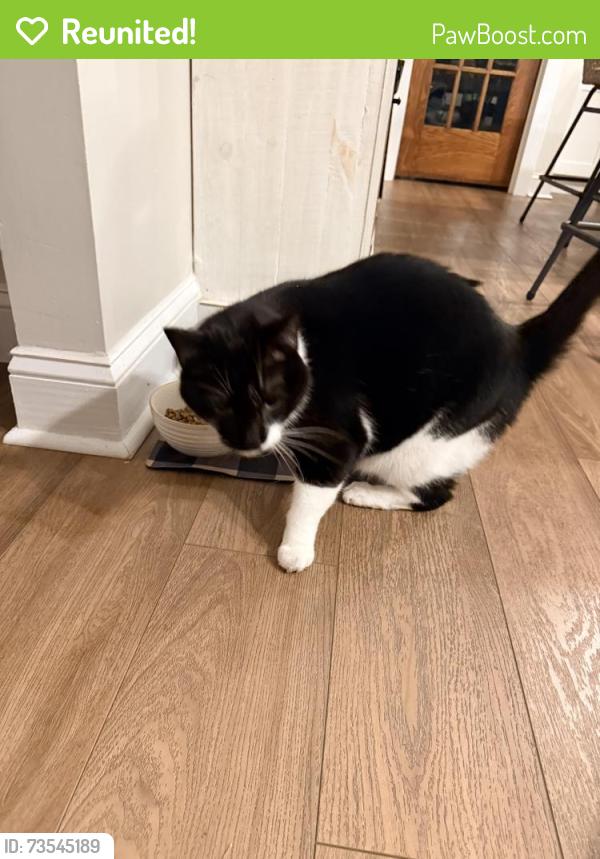 Reunited Male Cat last seen Orthodox dr and temperance rd, Richboro, PA 18954
