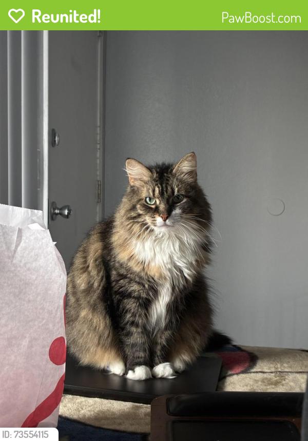 Reunited Female Cat last seen Overfelt Gardens Park, San Jose, CA 95133
