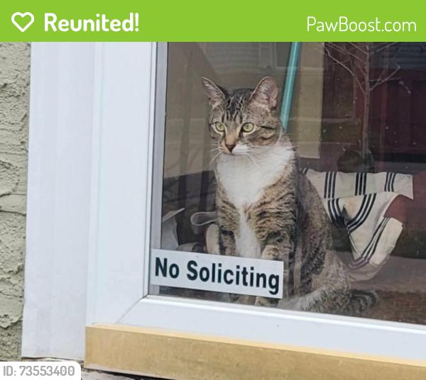 Reunited Male Cat last seen Fairview and Randolph, Saint Paul, MN 55105