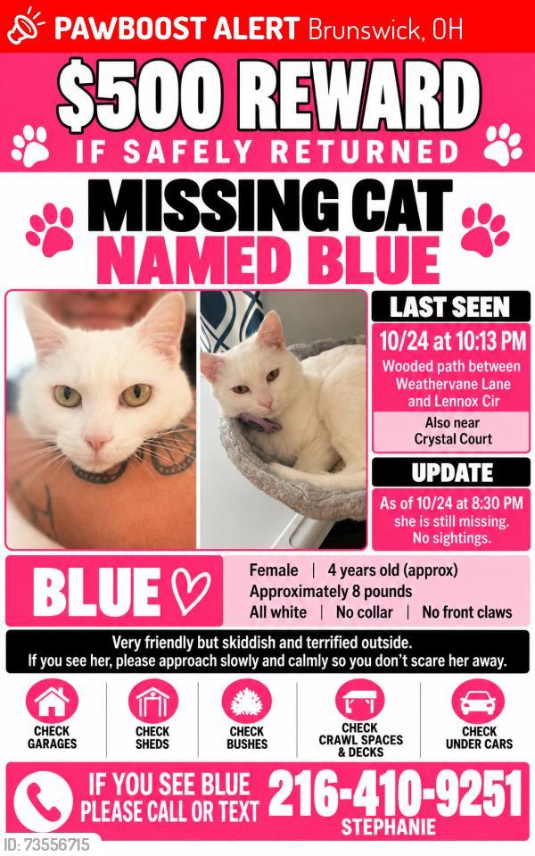 Lost Female Cat last seen Weathervane & Lennox Circle, Brunswick, OH 44212