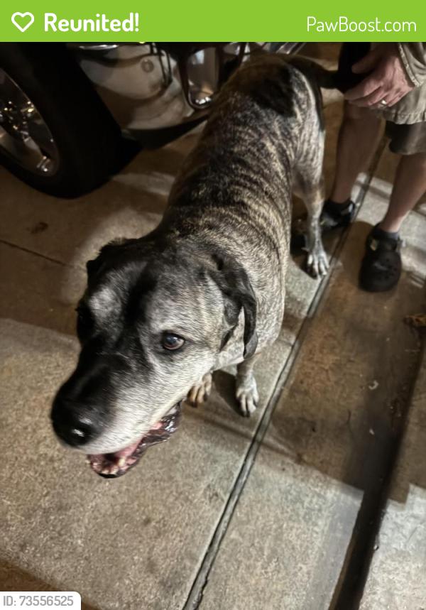 Reunited Male Dog last seen Bonds ranch, Fort Worth, TX 76131
