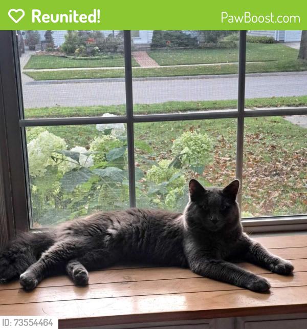 Reunited Male Cat last seen Ethel Ave and Buchanan, Green Bay, WI 54303