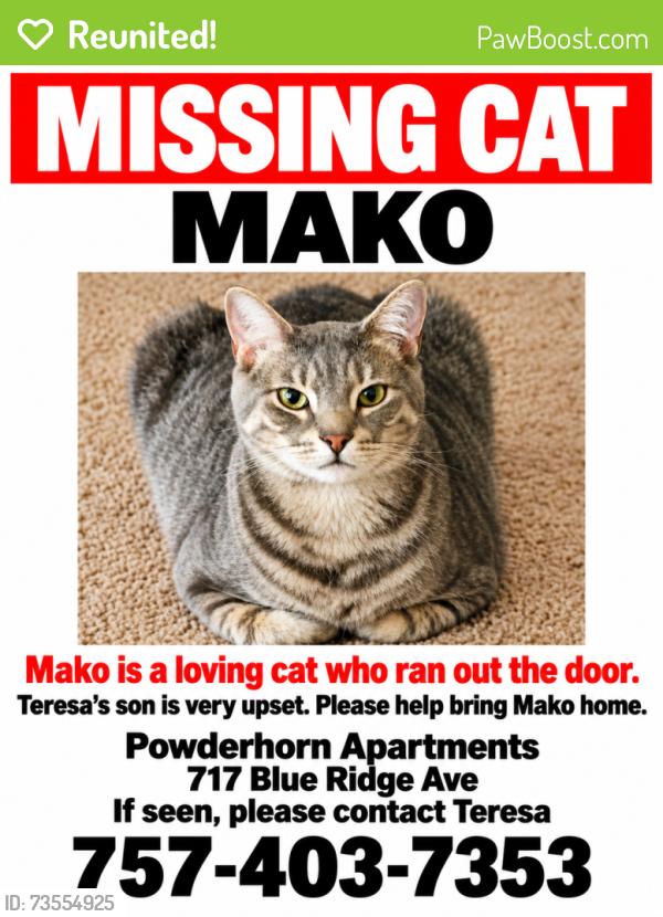 Reunited Male Cat last seen Blue Ridge Avenue near Spruce Street, Bedford, VA. The town’s transportation plan places the apmt complexes about 300 feet west of Spruce Street., Bedford, VA 24523