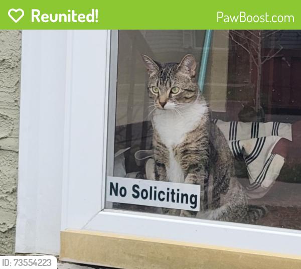 Reunited Male Cat last seen James Ave and prior ave, Saint Paul, MN 55105