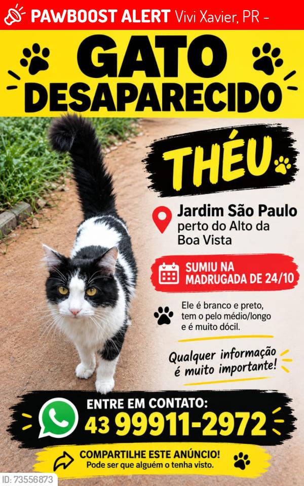 Lost Male Cat last seen em cima do telhado da vizinha do fundo casa, Vivi Xavier, PR 86083-466