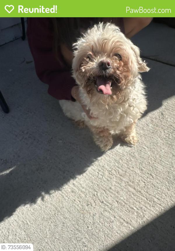 Reunited Unknown Dog last seen Bethlehem, GA, USA, Bethlehem, GA 30620