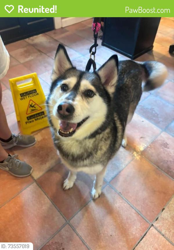 Reunited Female Dog last seen Berry Ln, Berry Ln,  27233