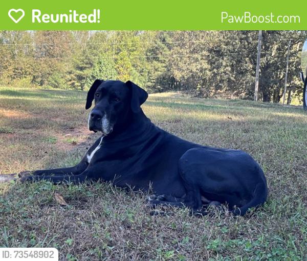 Reunited Male Dog last seen East College St & Wedowee St, Bowdon, GA 30108