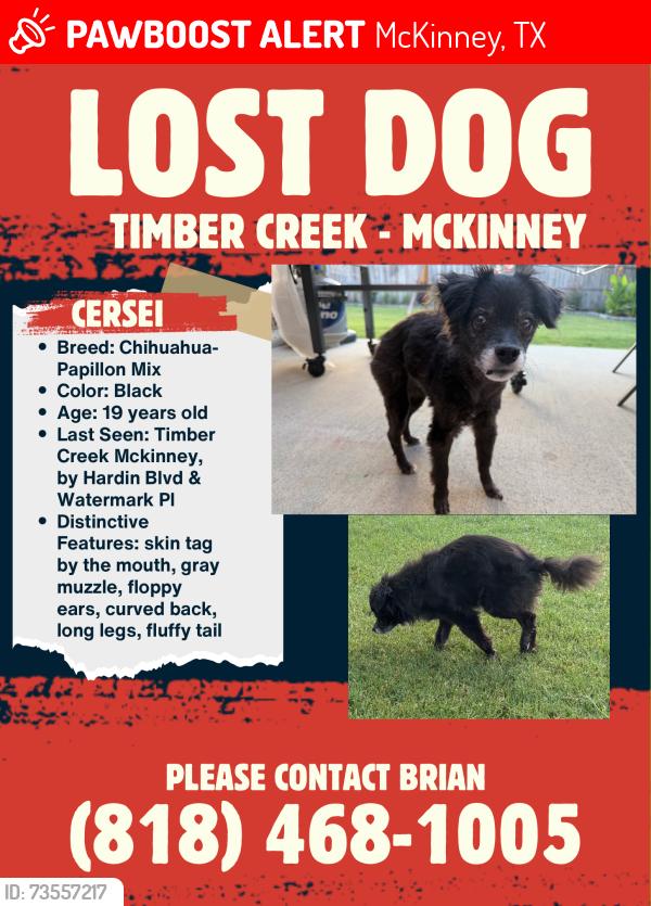 Lost Female Dog last seen Hardin blvd, McKinney, TX 75070