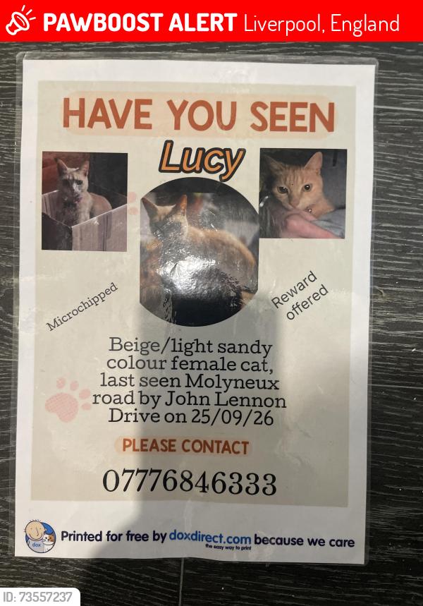 Lost Female Cat last seen Kensington, Liverpool, England 