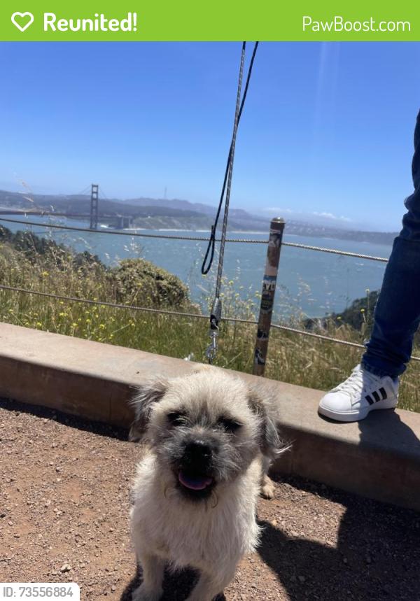 Reunited Male Dog last seen Near marine ave, Stockton, CA 95204