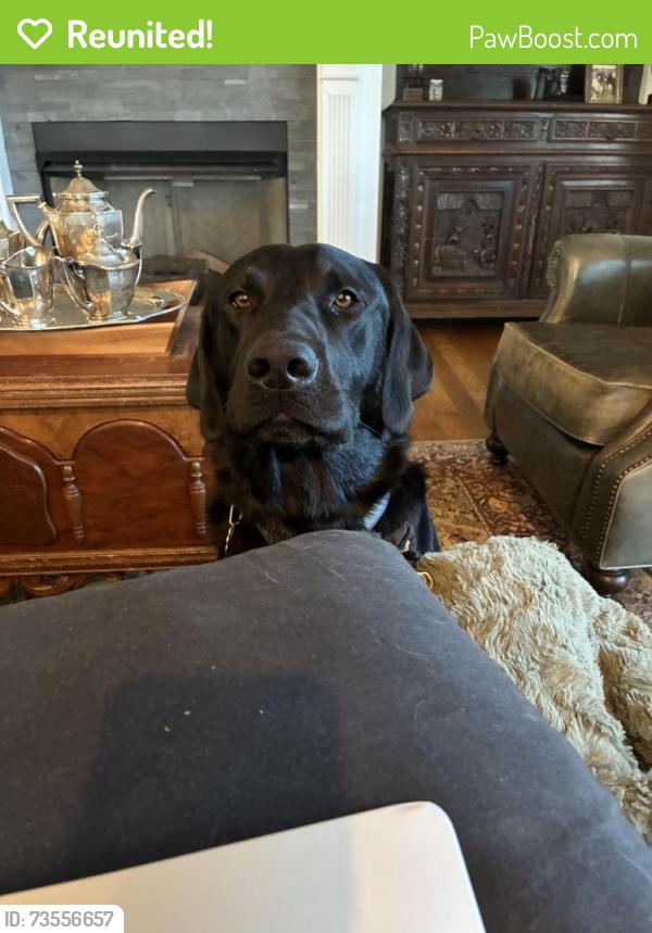 Reunited Male Dog last seen Mountain Creek Rc, French Woods Rd,  29654