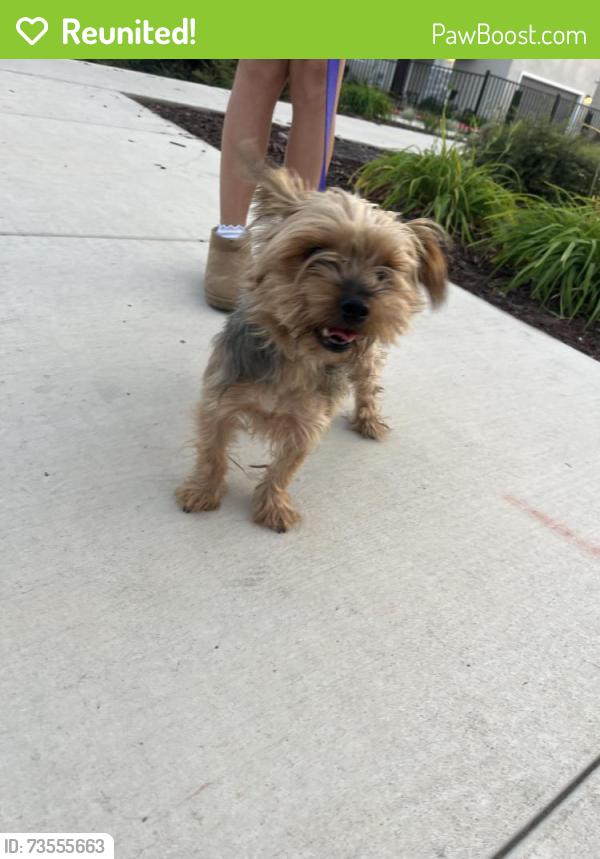 Reunited Female Dog last seen Fifth street, Turlock, CA 95381