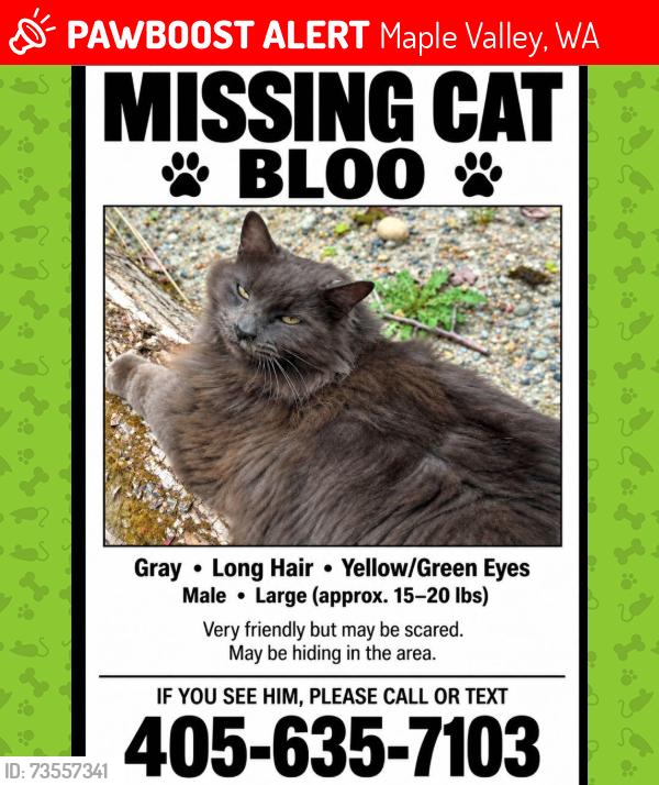 Lost Male Cat last seen 230th Place SE, Maple Valley, WA, Maple Valley, WA 98038