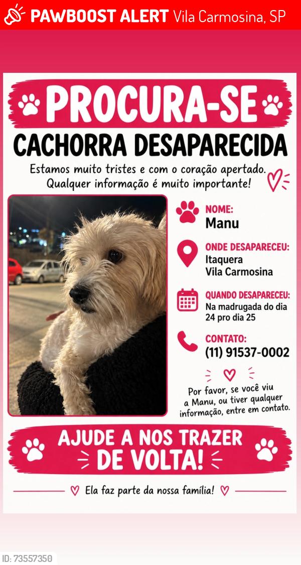 Lost Female Dog last seen Posto de gasolina 24h, Vila Carmosina, SP 