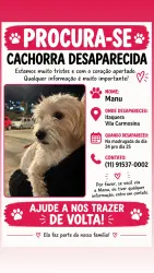 Lost Female Dog last seen Posto de gasolina 24h, Vila Carmosina, SP 