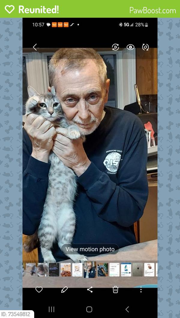 Reunited Male Cat last seen Alexander Heights neighborhood, Festus, MO 63028