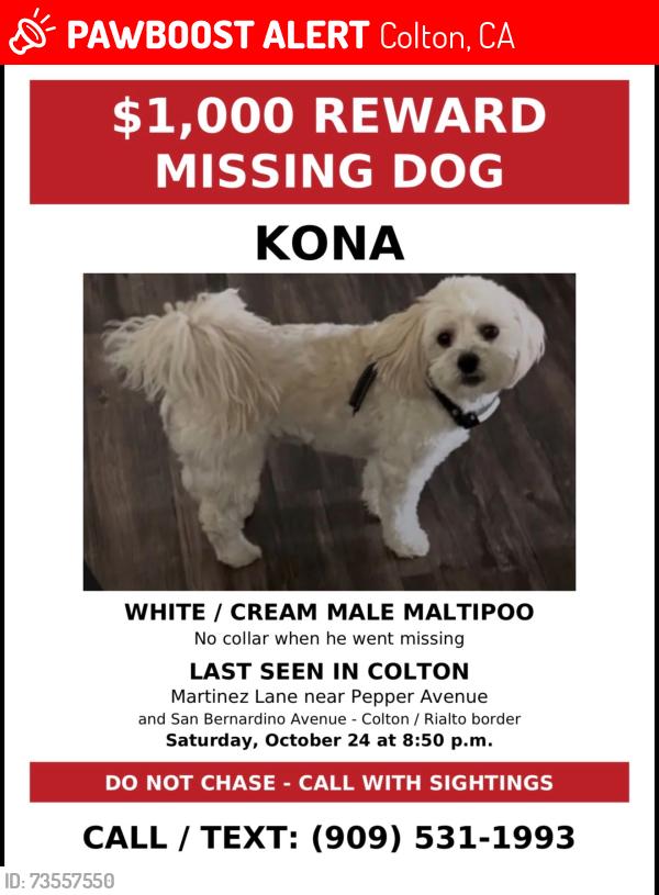 Lost Male Dog last seen Eucalyptus San Bernardino ave, Colton, CA 92324