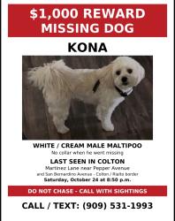 Lost Male Dog last seen Eucalyptus San Bernardino ave, Colton, CA 92324