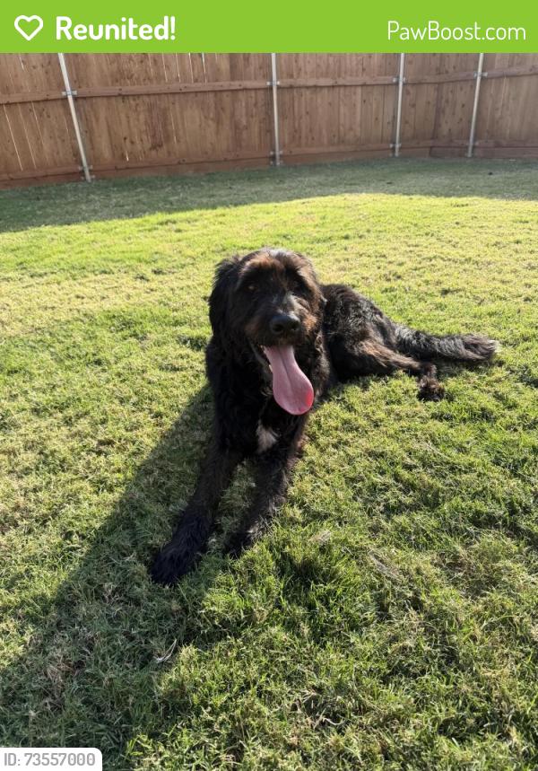 Reunited Unknown Dog last seen 178th and Penn, Edmond, OK 73012
