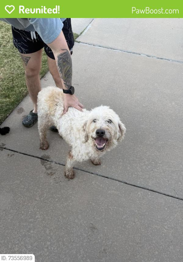 Reunited Unknown Dog last seen 178th and Penn, Edmond, OK 73012
