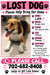 Lost Female Dog last seen Jones and grand Teton, Las Vegas, NV 89131