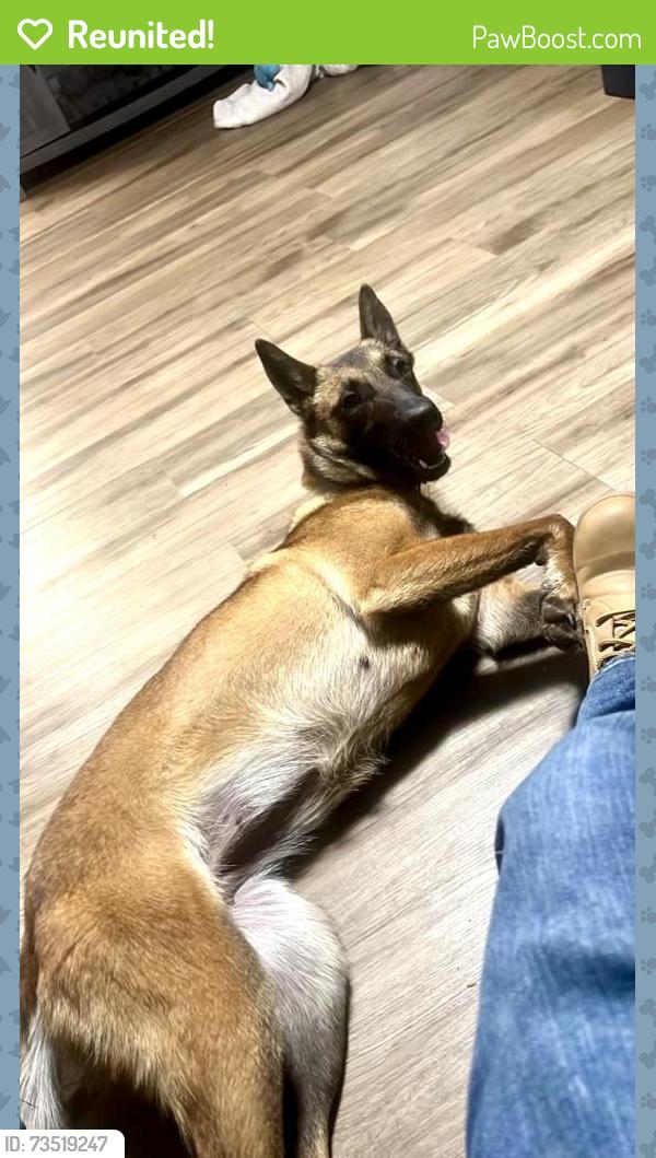 Reunited Female Dog last seen Near Hendrix, Conway, AR 72034