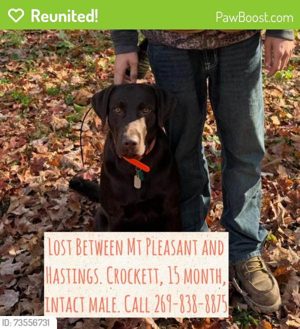 Reunited Male Dog last seen Mt Pleasant, Mi, Usa To Hastings, Mount Pleasant, MI 48858