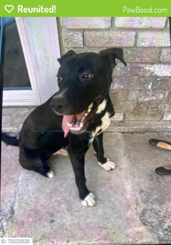 Reunited Male Dog last seen T&C Sports , park, Round Rock, TX 78664