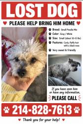 Lost Male Dog last seen Noethwest and la prada, Garland, TX 75043